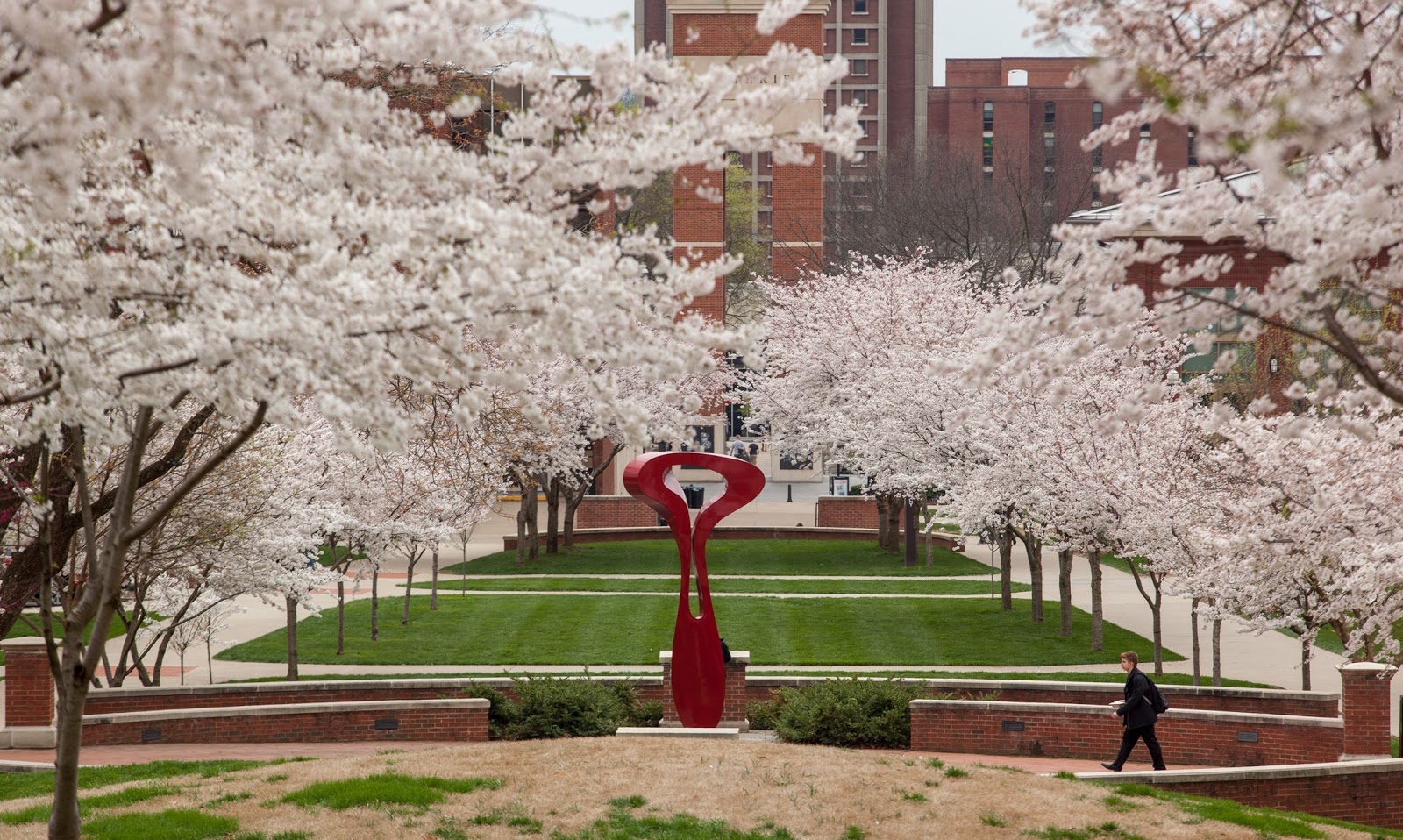Western Kentucky University
