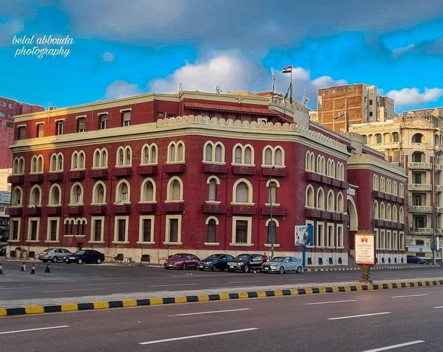 Alexandria University photo 6