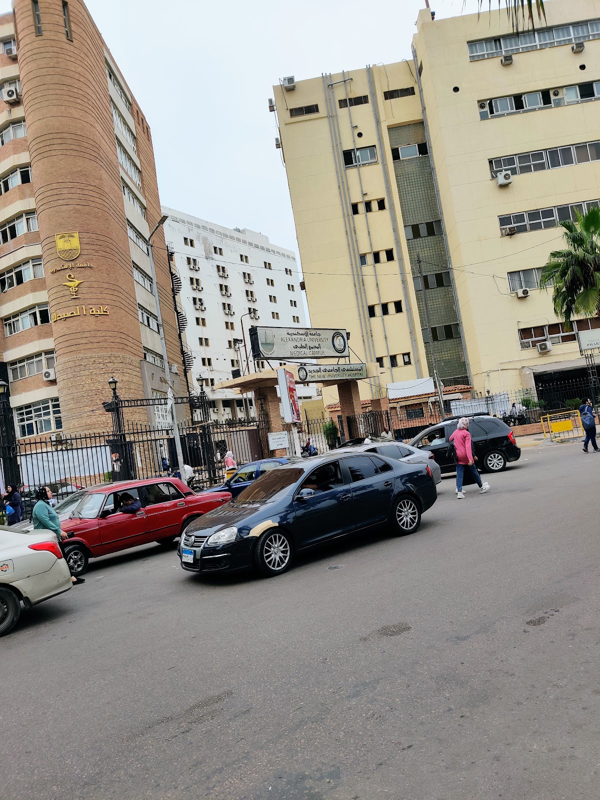 Alexandria University photo 7