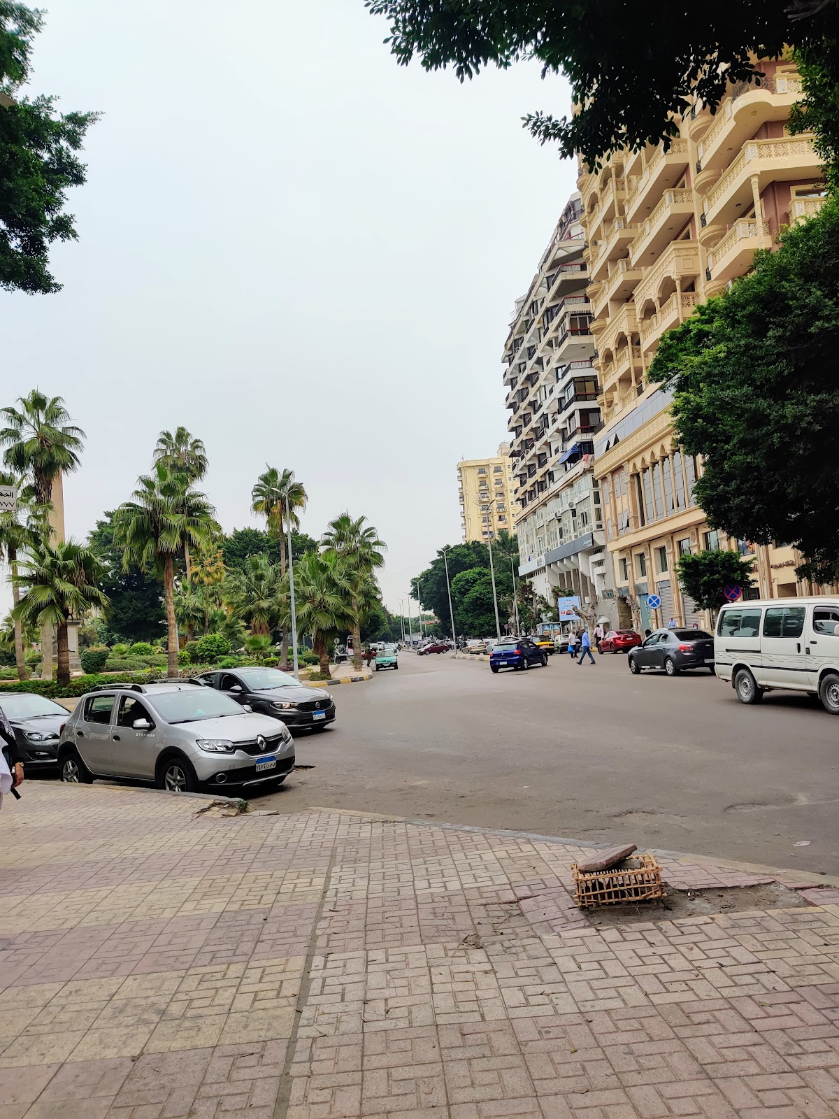 Alexandria University photo 8