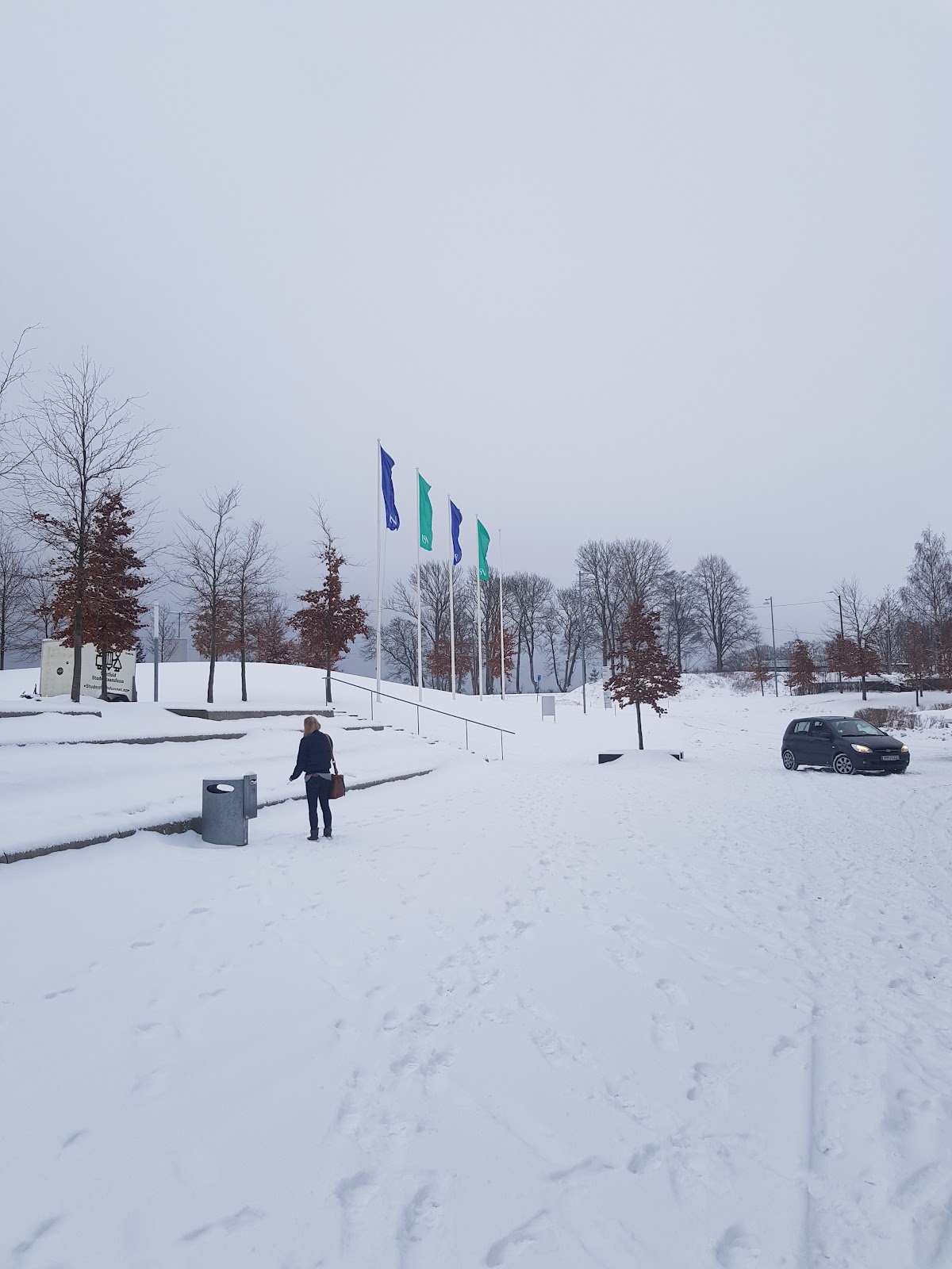 Vestfold University College photo 6