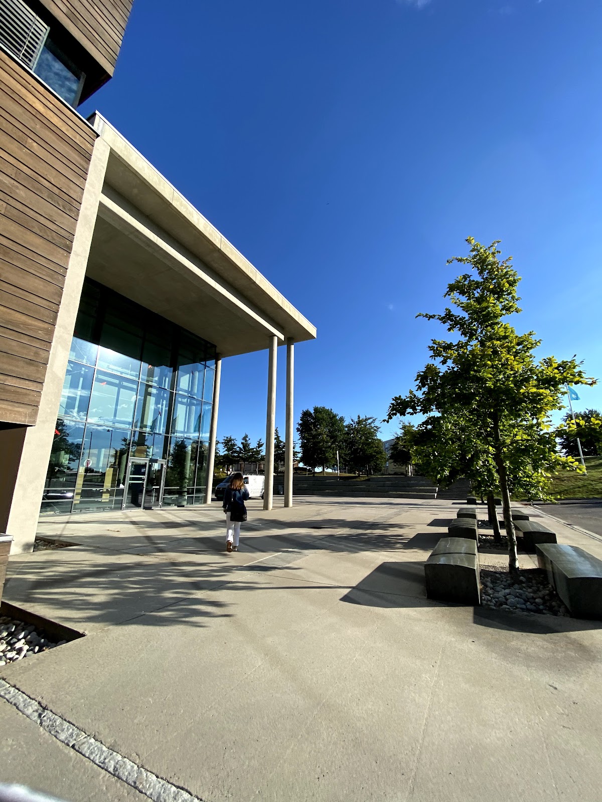 Vestfold University College photo 7