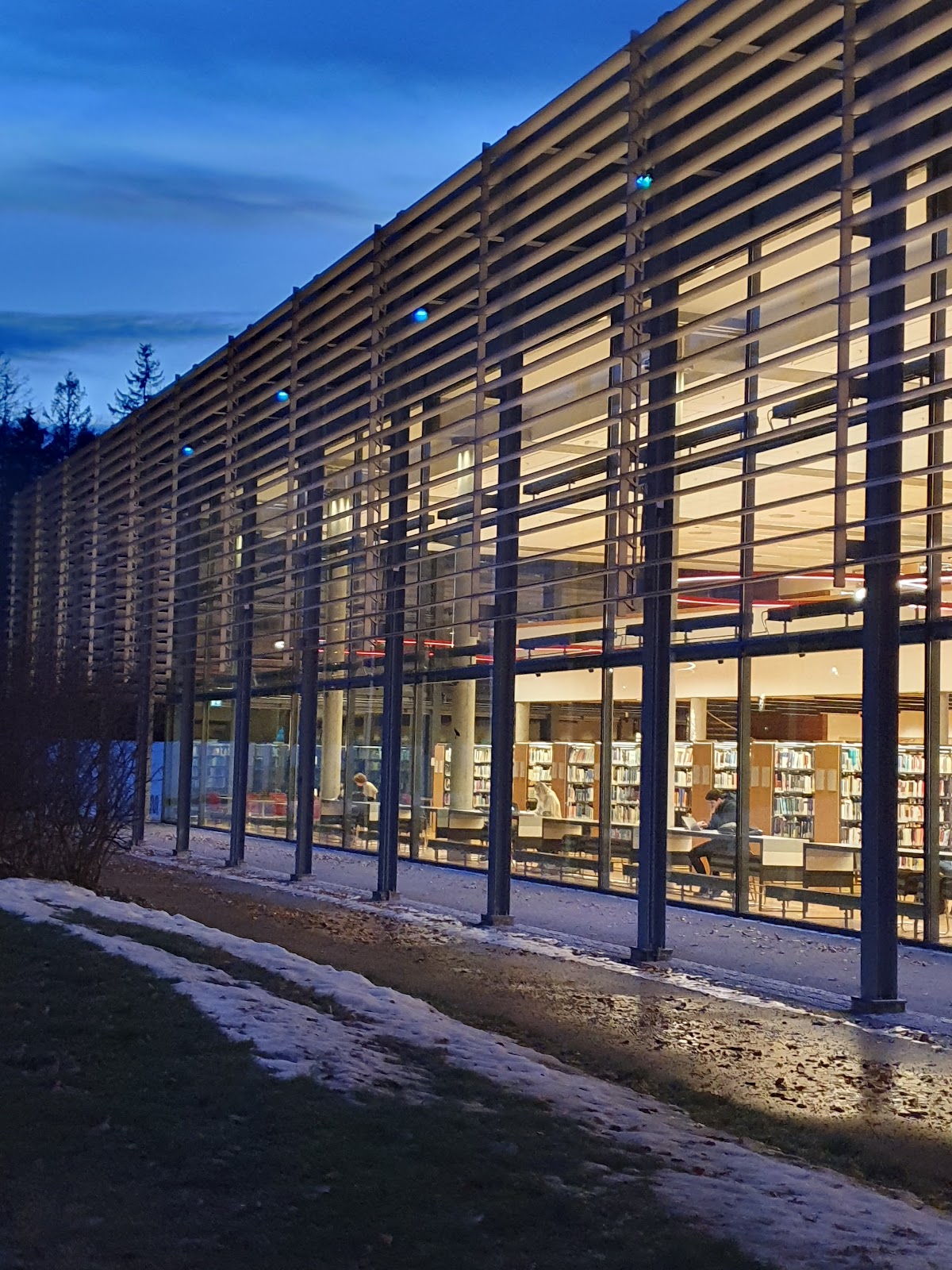 Vestfold University College photo 8