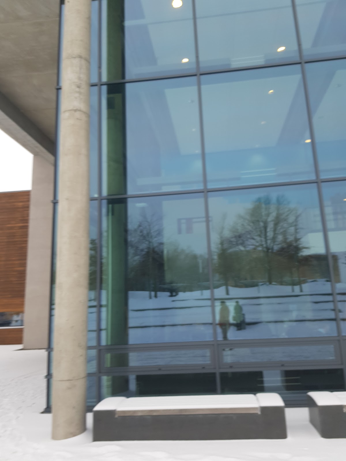 Vestfold University College photo 9