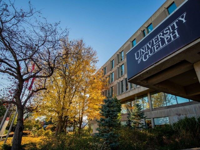 University of Guelph photo 4