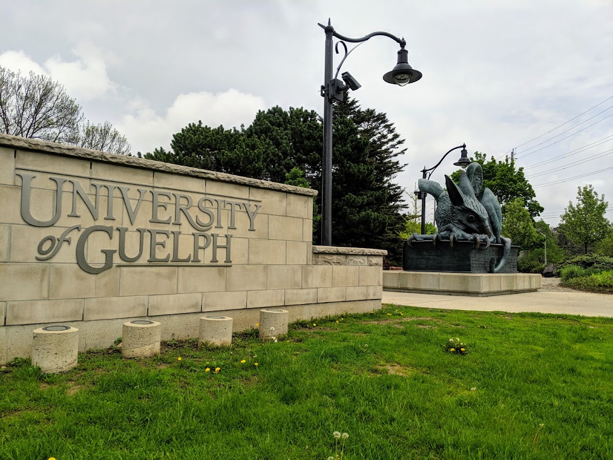 University of Guelph photo 8
