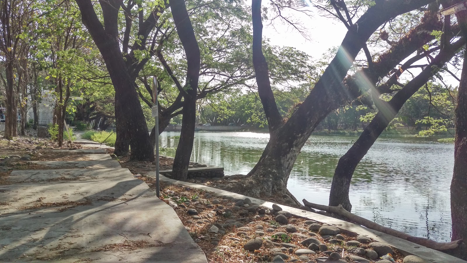 Universitas Hasanuddin