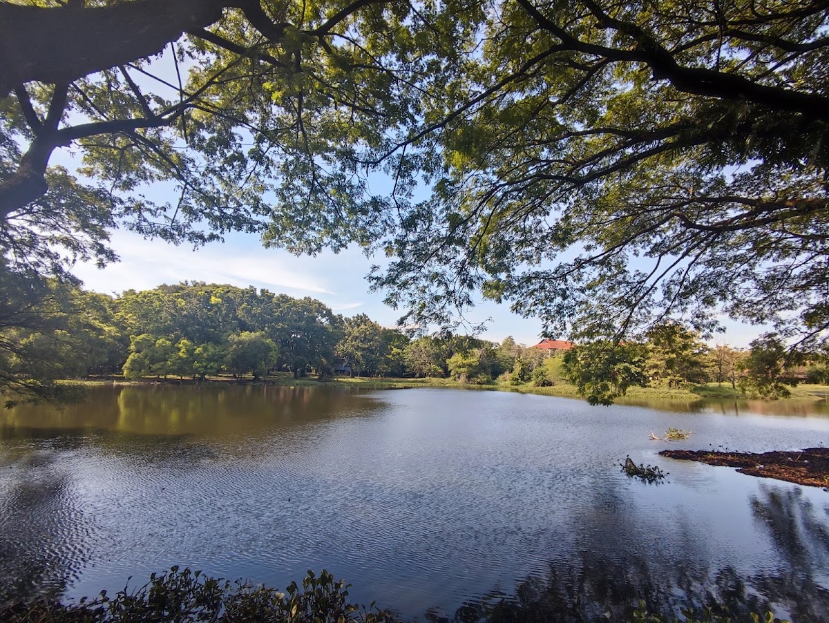 Universitas Hasanuddin photo 8