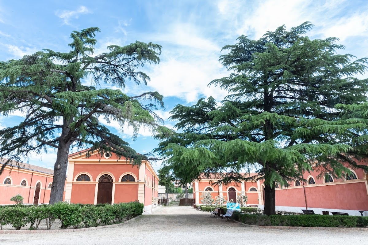 University of Foggia photo 2