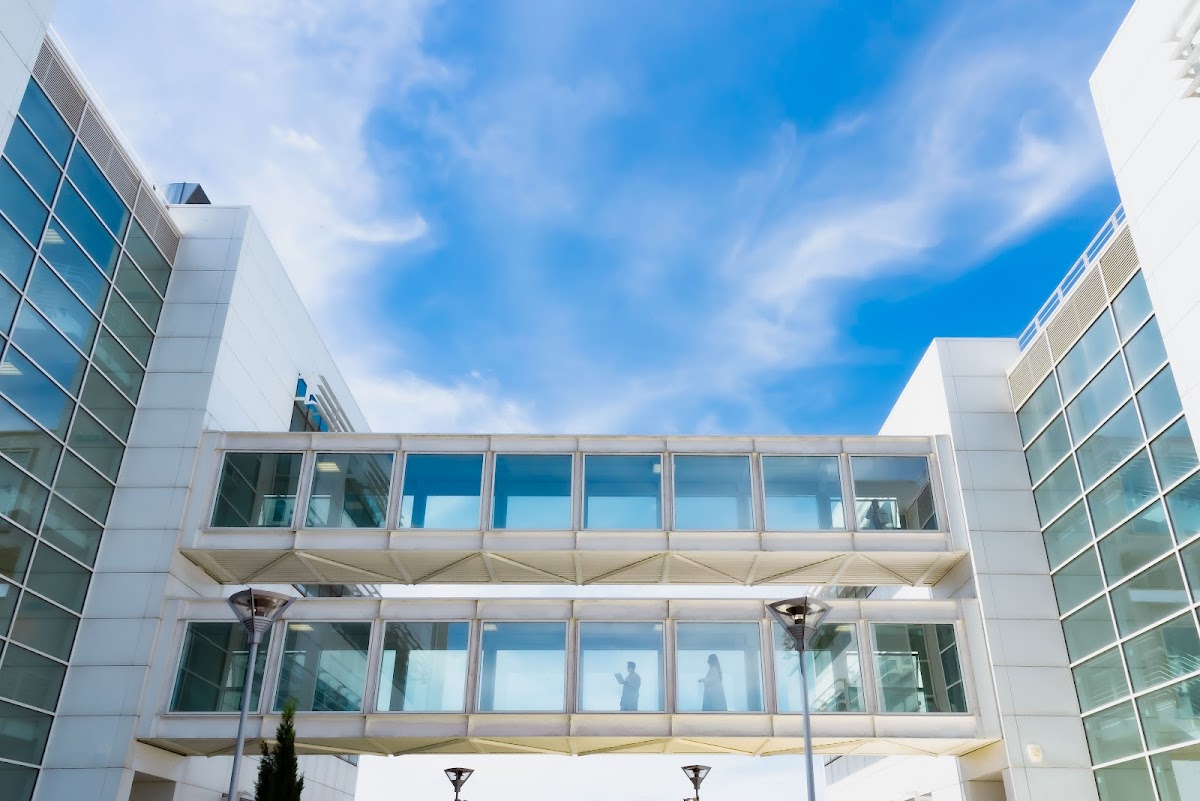 University of Foggia photo 3