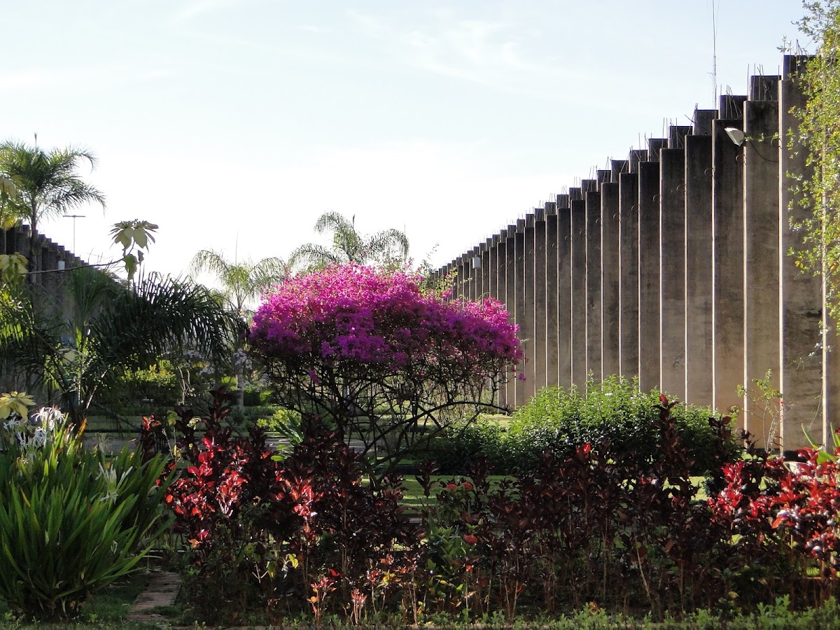 University Center of Brasília photo 5