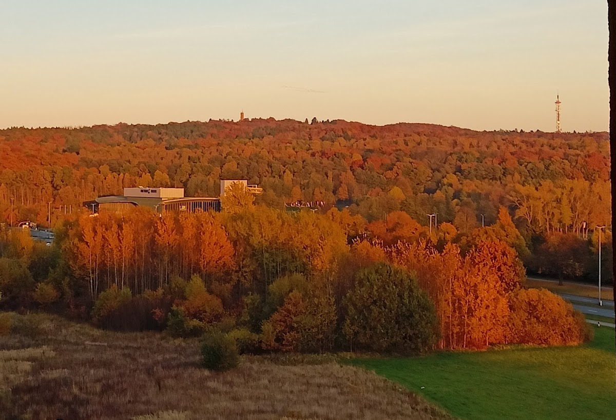 Koszalin University of Technology photo 3