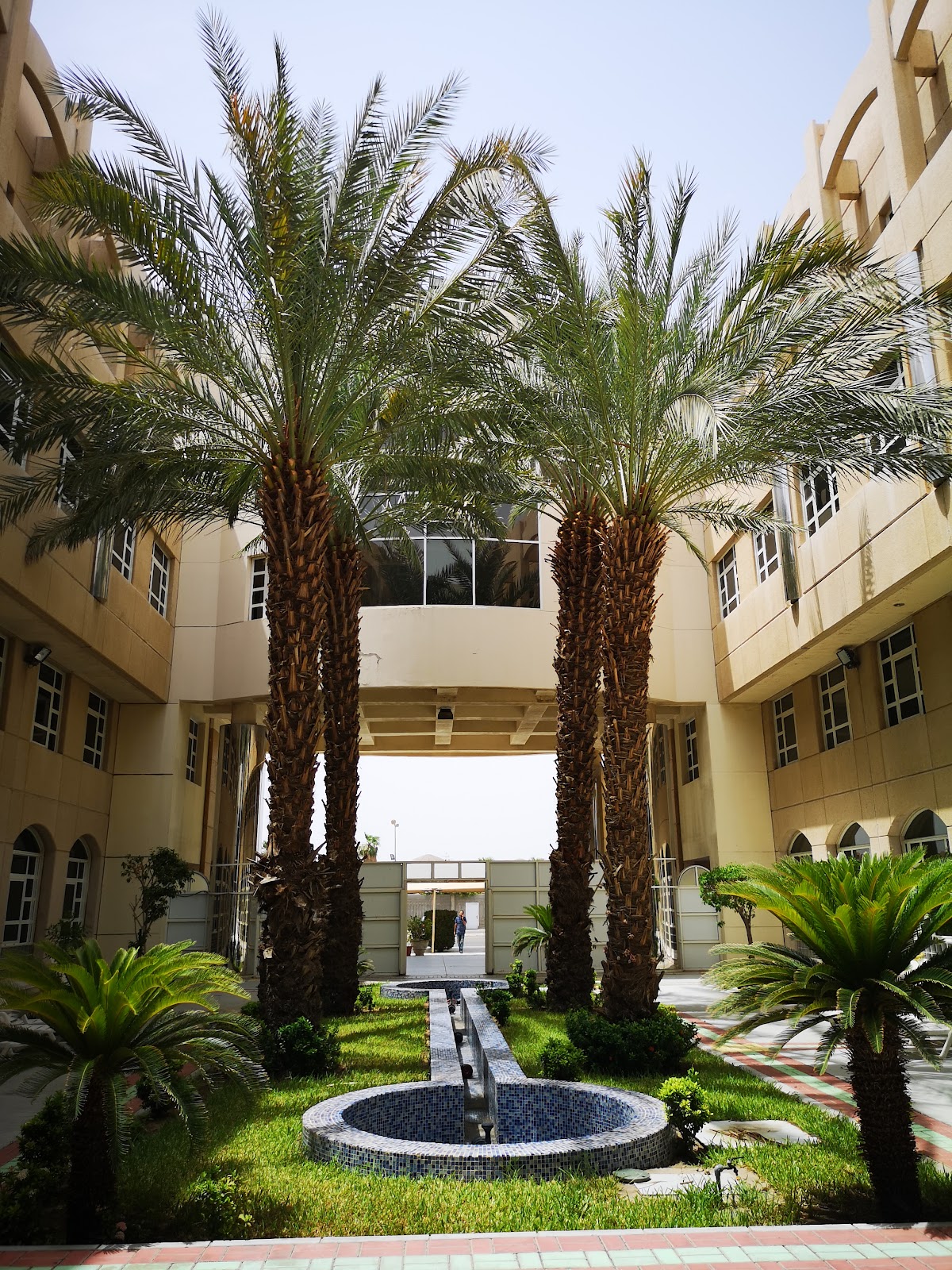 Dar Al Hekma University photo 5