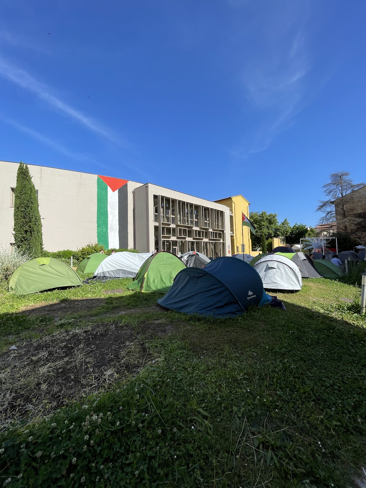 University of Pisa photo 7