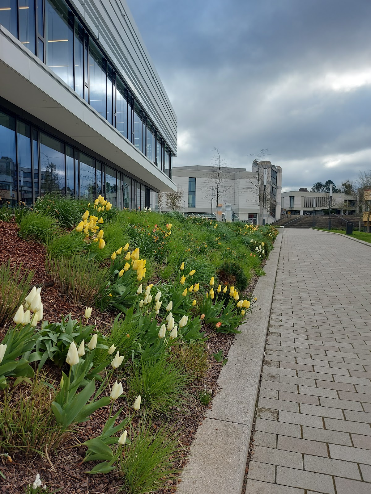 University of Hildesheim photo 9