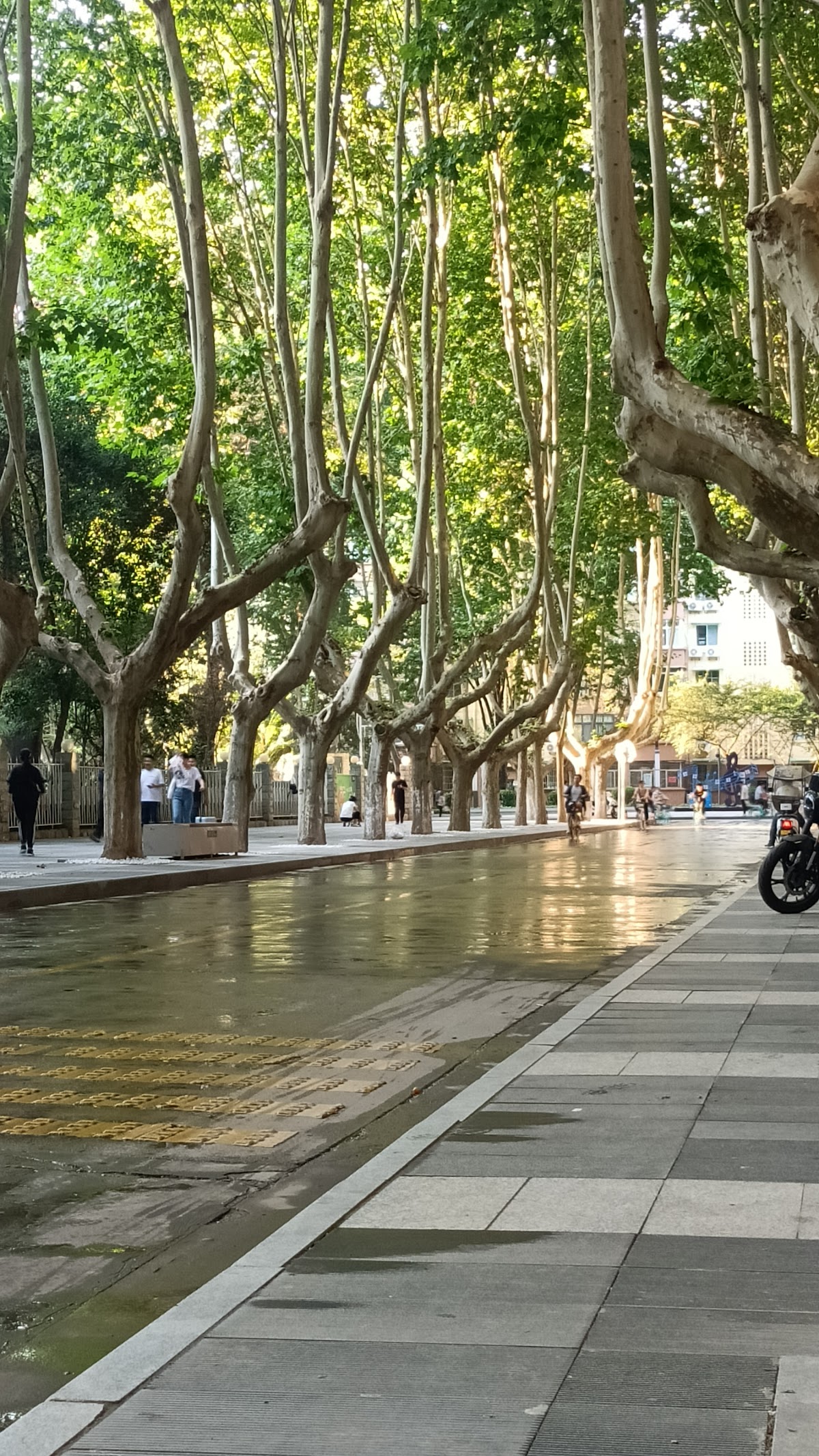 Northwestern Polytechnical University photo 6