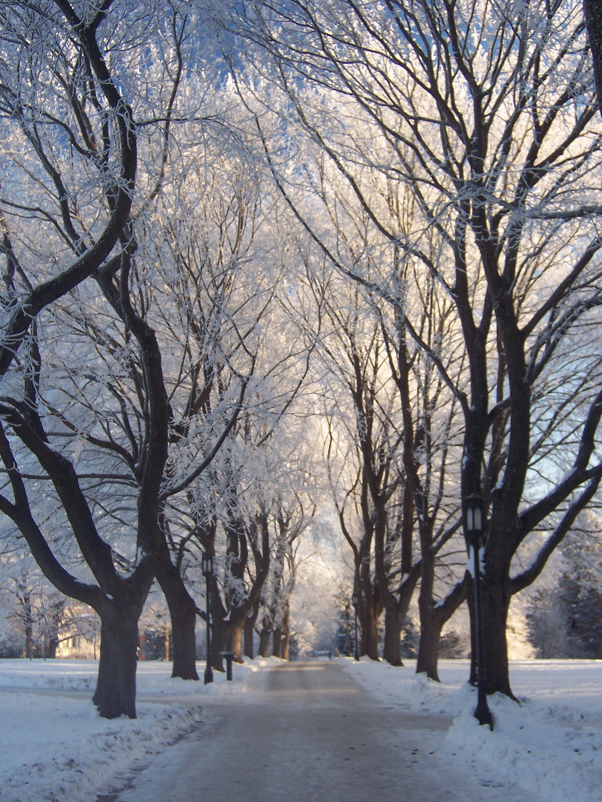 University of Idaho photo 9