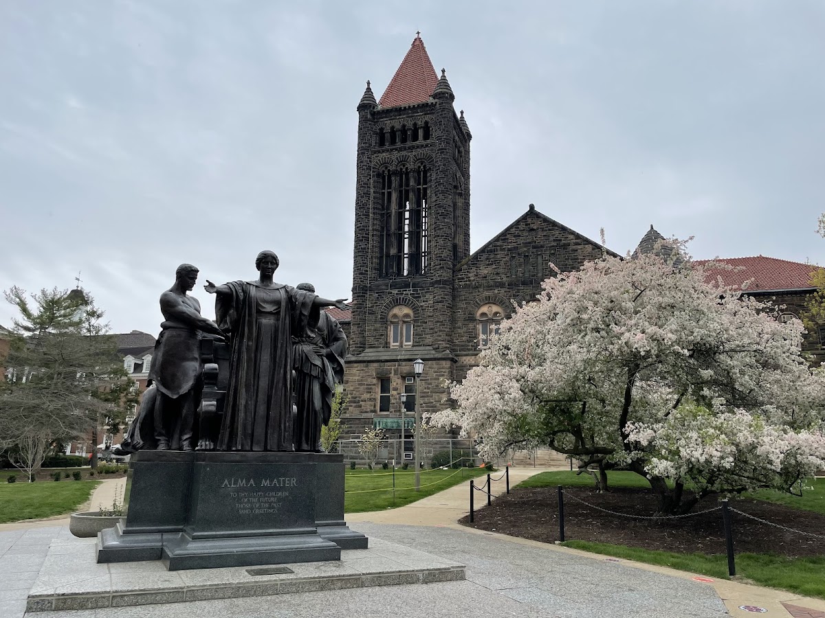 University of Illinois Urbana-Champaign photo 4