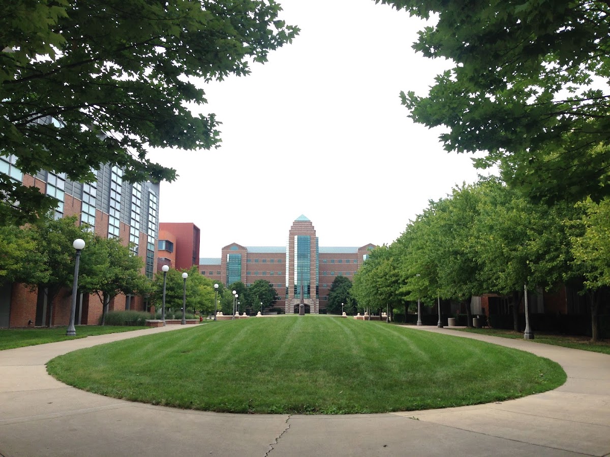 University of Illinois Urbana-Champaign photo 5
