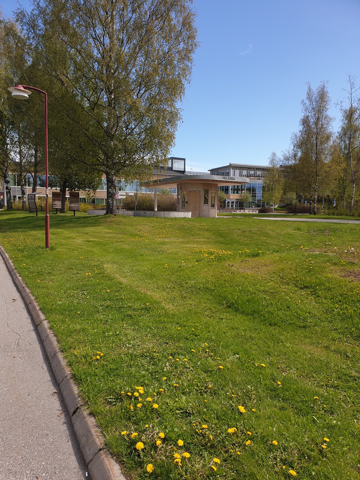 Umeå University photo 8