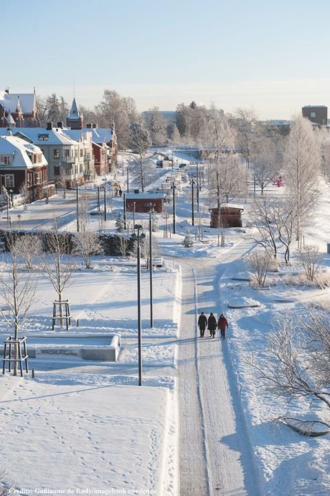 Umeå University photo 9