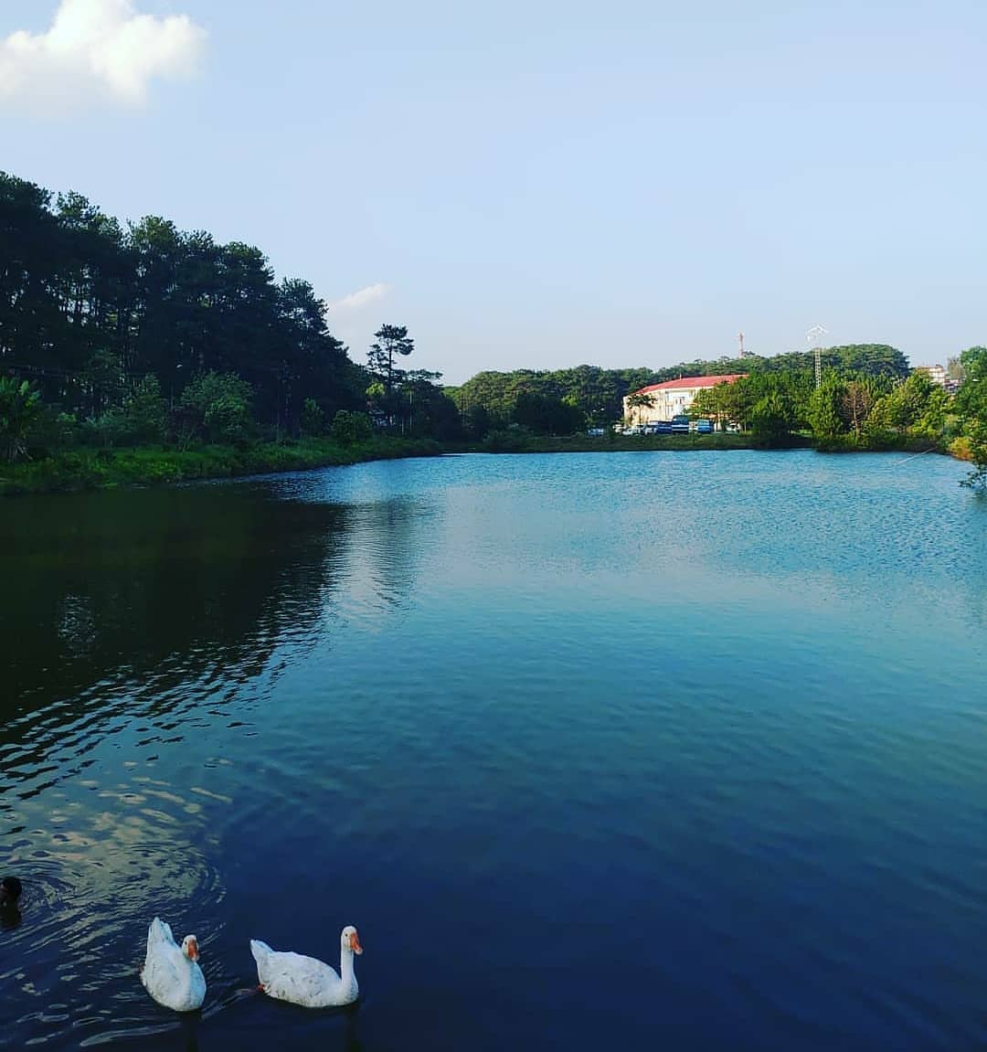 North Eastern Hill University photo 6