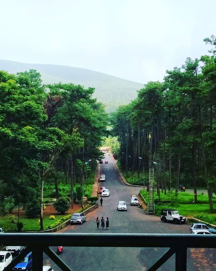 North Eastern Hill University photo 7