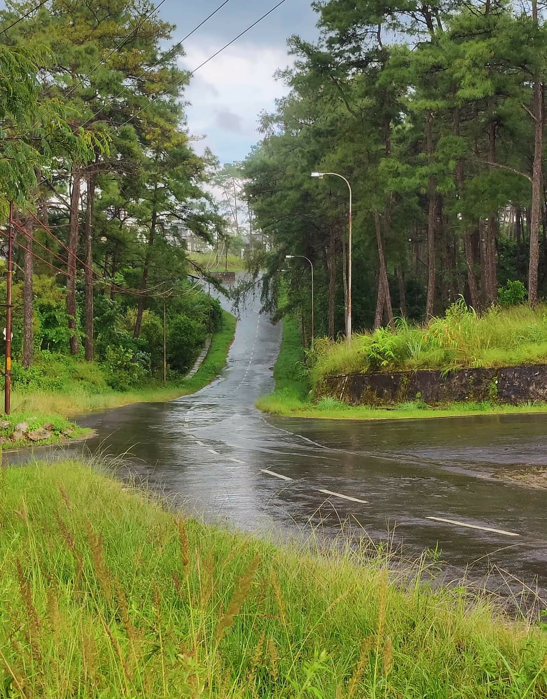 North Eastern Hill University photo 8