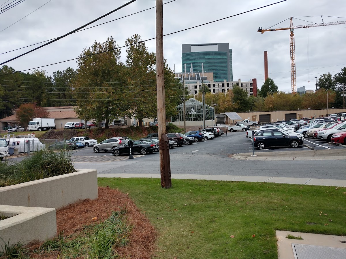 Emory University photo 6