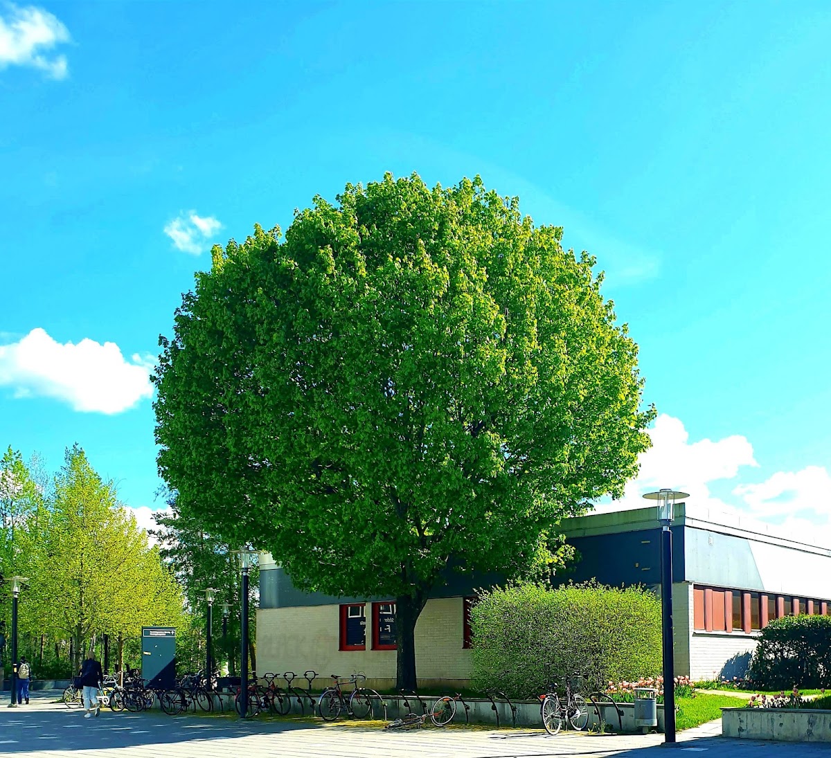 Södertörn University photo 5