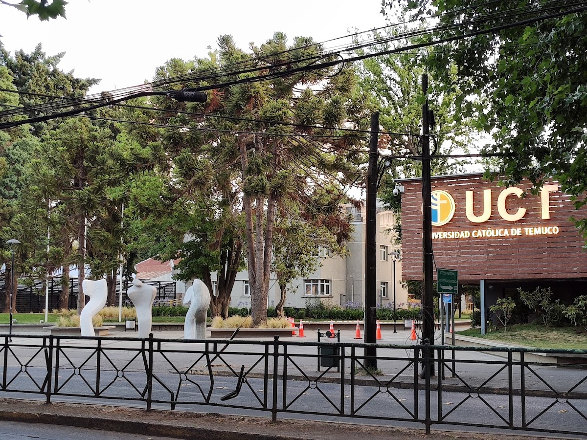Catholic University of Temuco photo 6