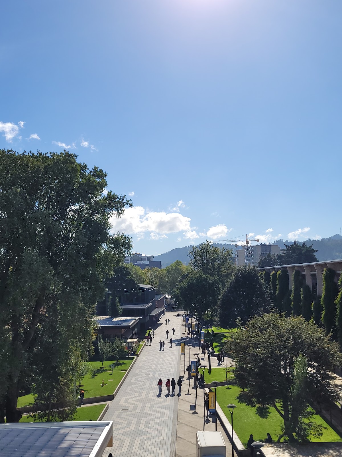 Catholic University of Temuco photo 7