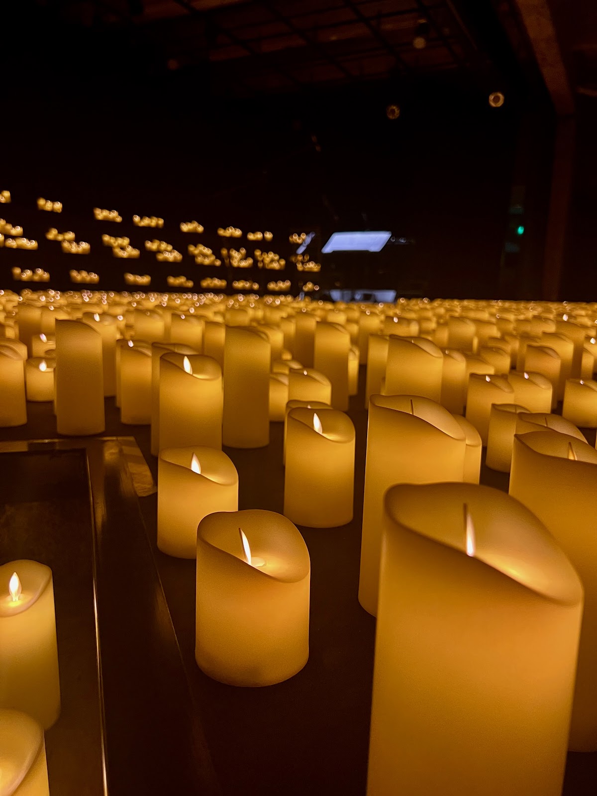 Catholic University of Temuco photo 9
