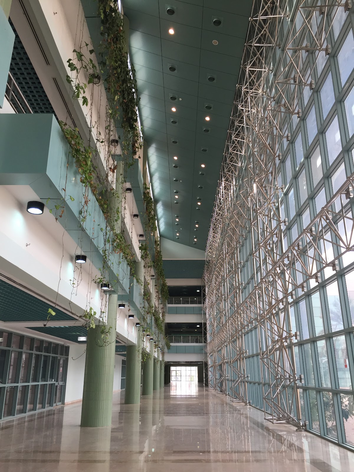 University of Ha'il photo 6