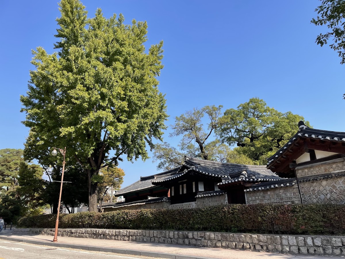 Sungkyunkwan University (SKKU) photo 8