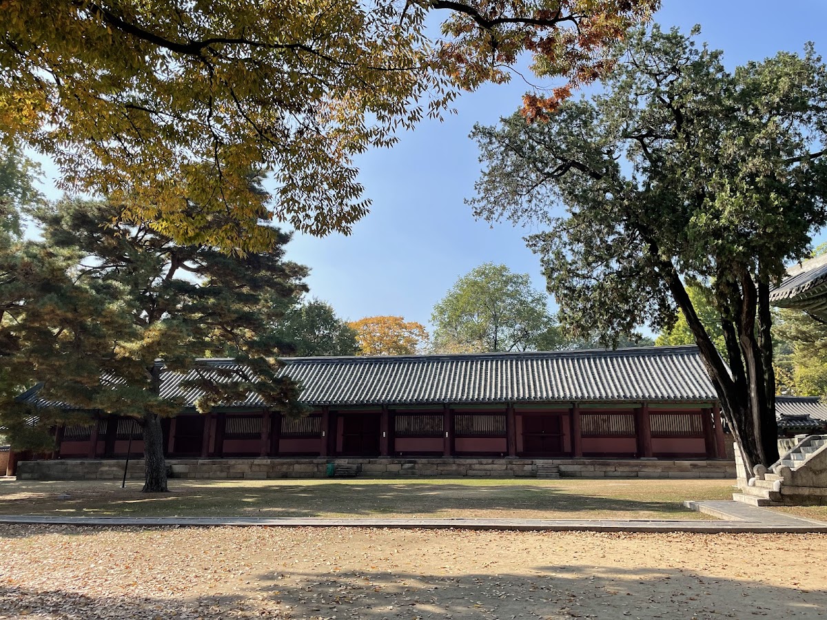 Sungkyunkwan University (SKKU) photo 9