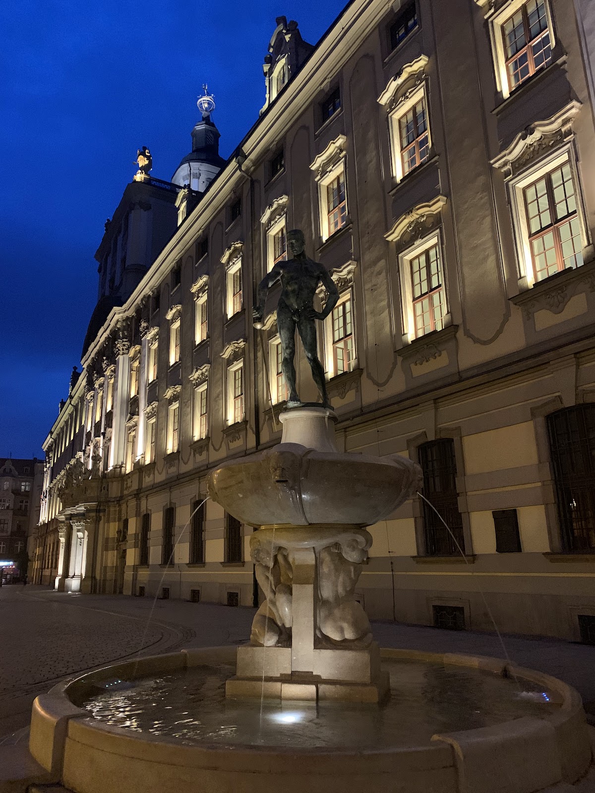 University of Wrocław photo 8