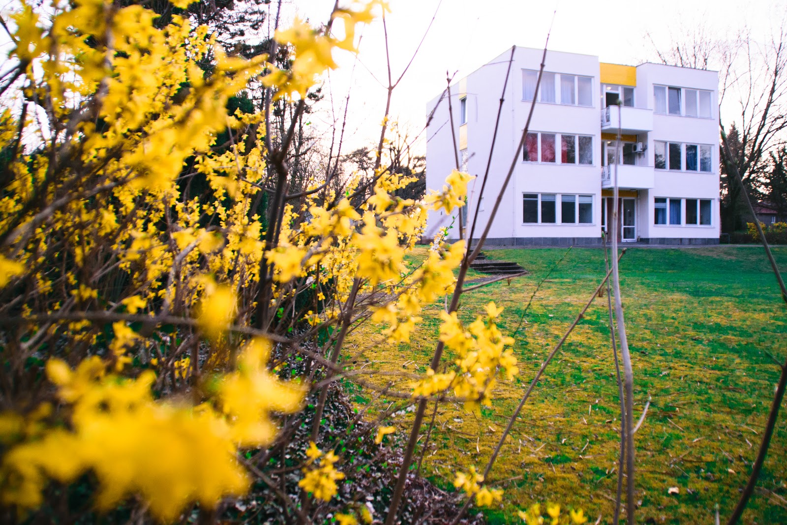 European College of Liberal Arts (ECLA)