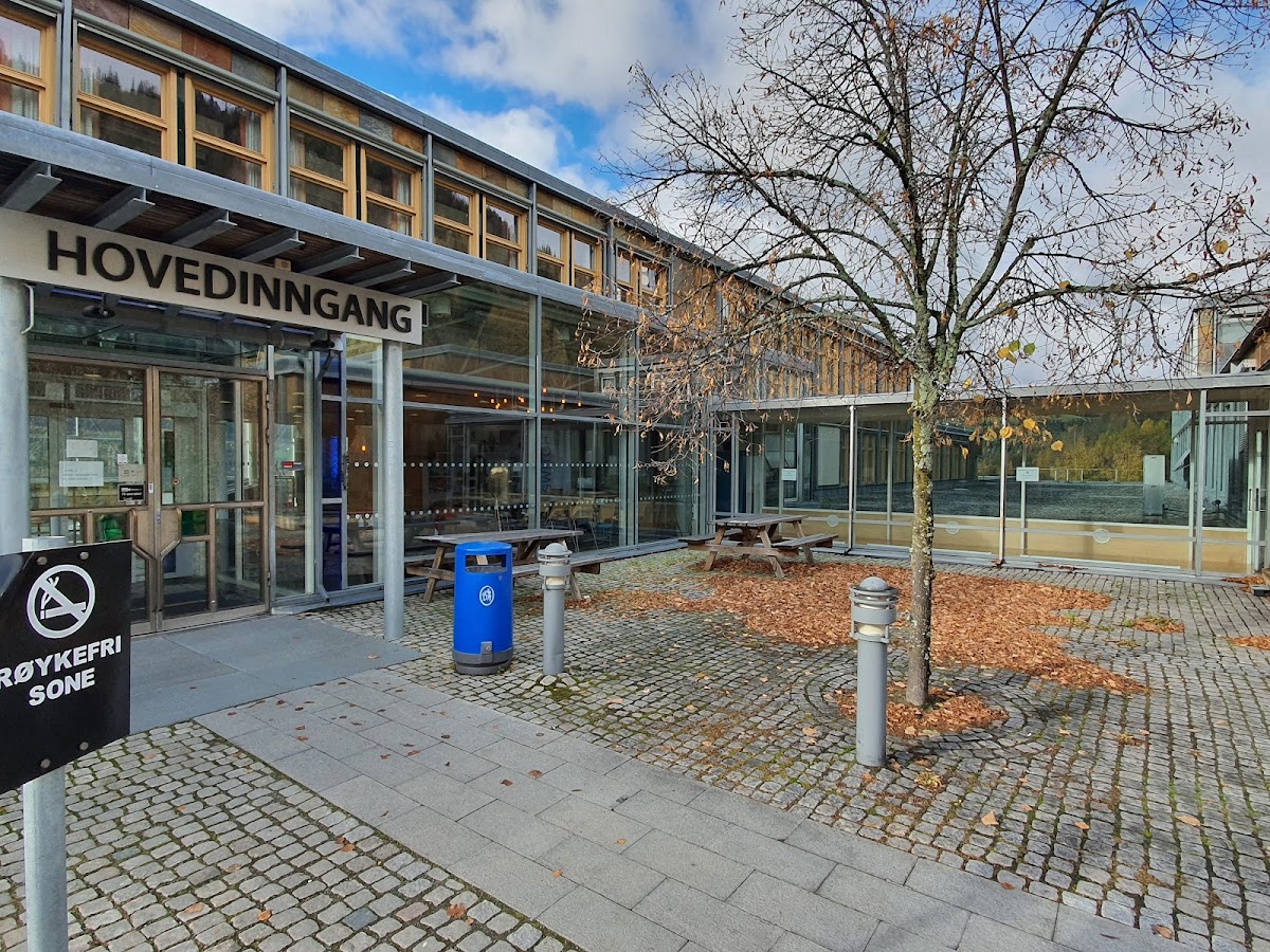 Lillehammer University College photo 8
