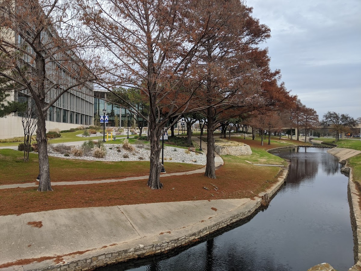University of Texas Arlington photo 4