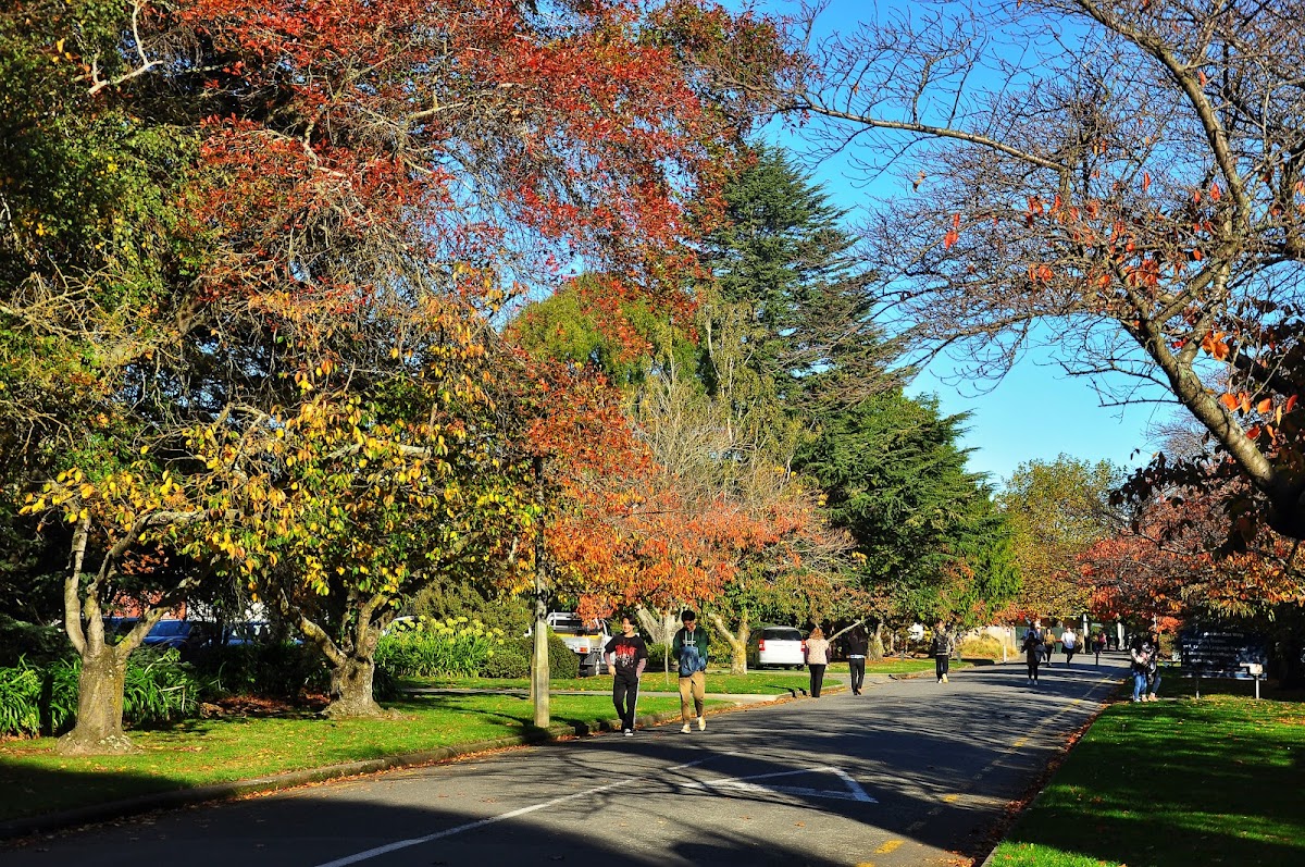 Lincoln University photo 3