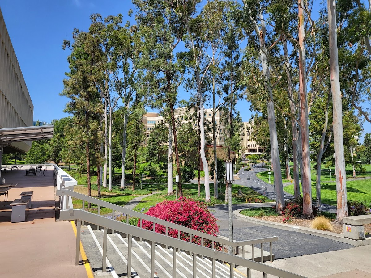 UC Irvine photo 4