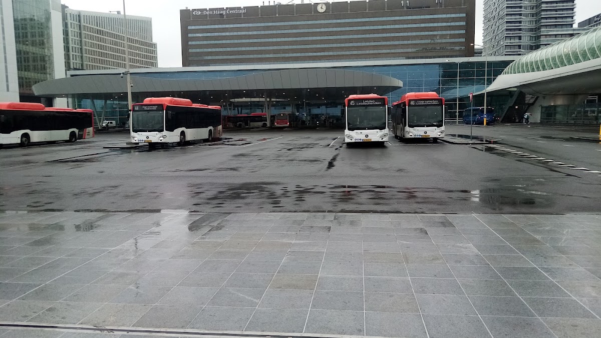 Leiden University College The Hague photo 2