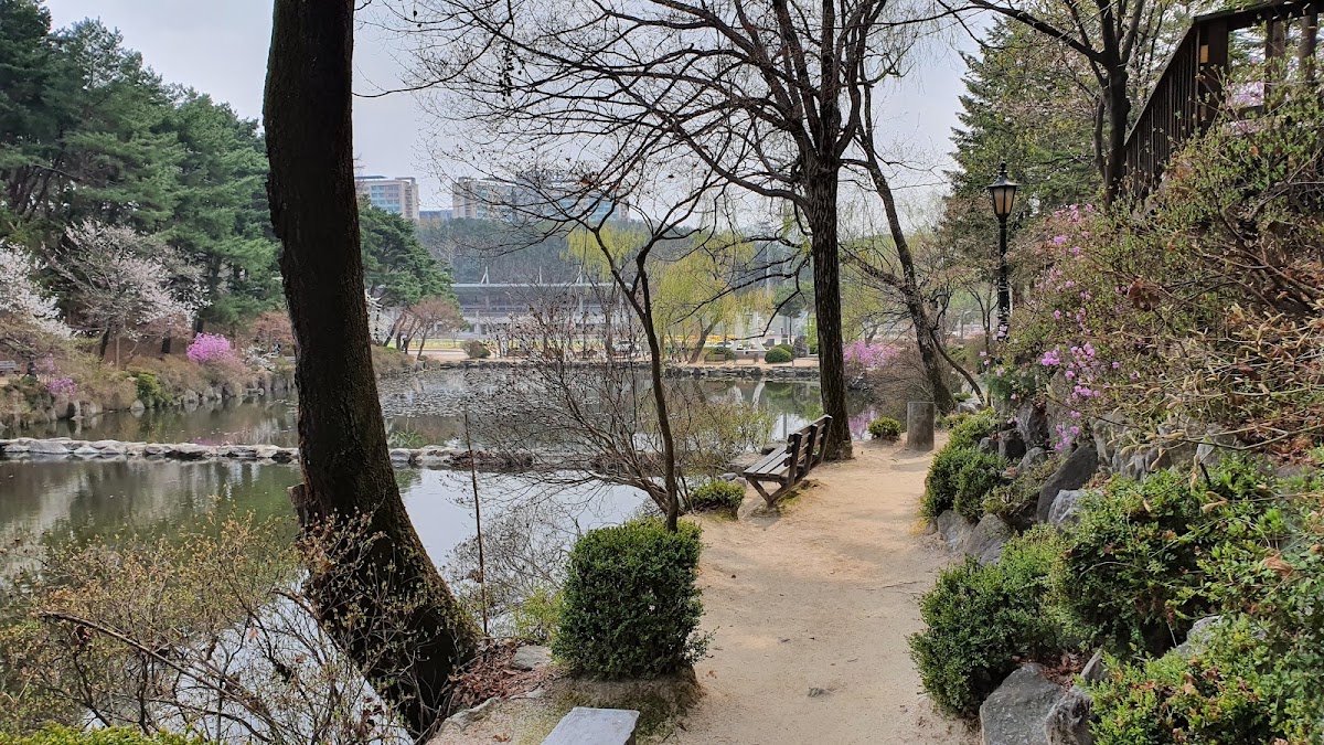 Kangwon National University photo 1