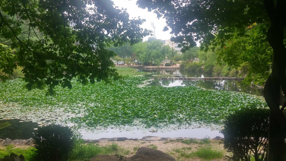 Kangwon National University photo 3