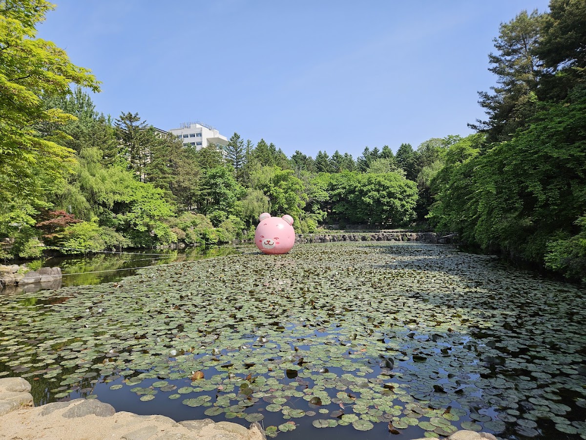 Kangwon National University photo 8