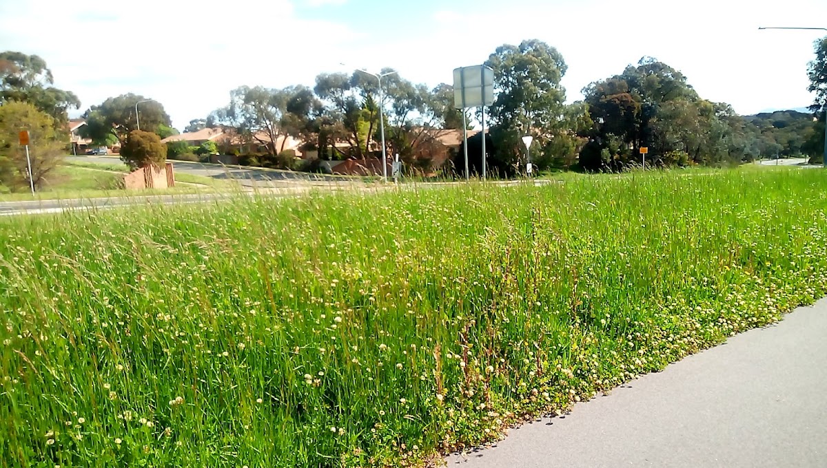 University of Canberra photo 2