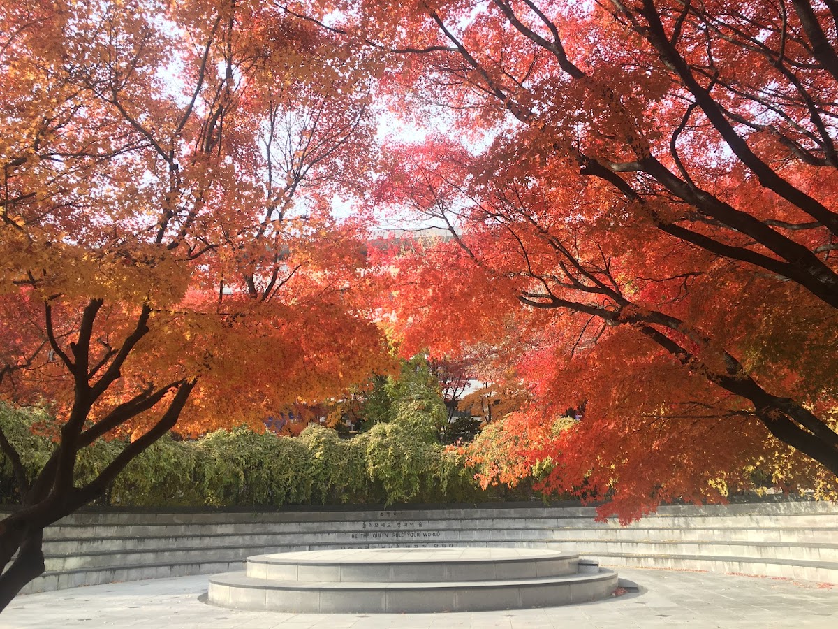 Sookmyung Women's University photo 9