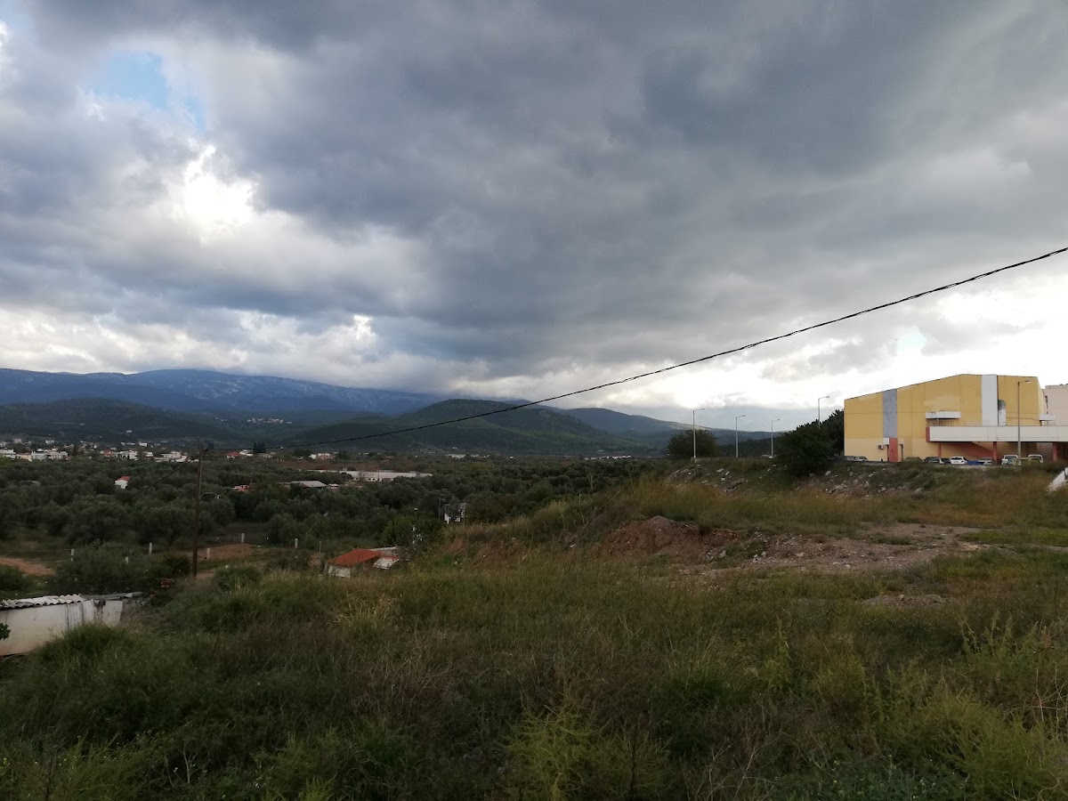 University of Central Greece (Chalkida) photo 4