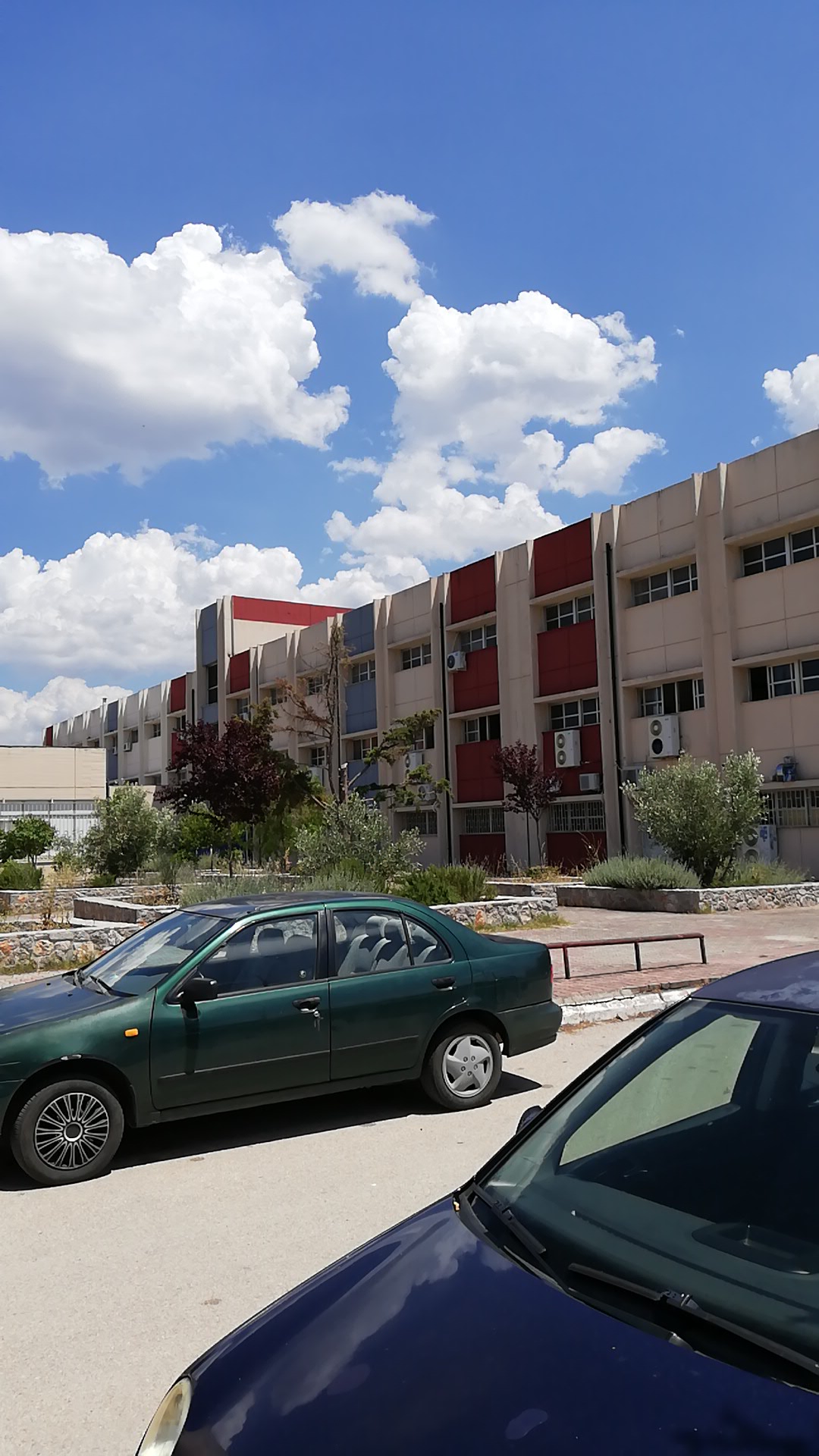 University of Central Greece (Chalkida) photo 9